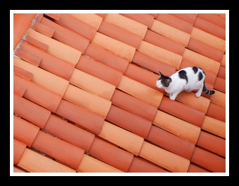 [Click to enlarge image]